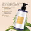 TONYSOGI GINSENG PLANT SHAMPOO - Image 4