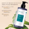 TONYSOGI SHOUWU PLANT SHAMPOO - Image 4